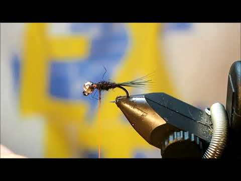 Black jig nymph, Musta jiginymfi