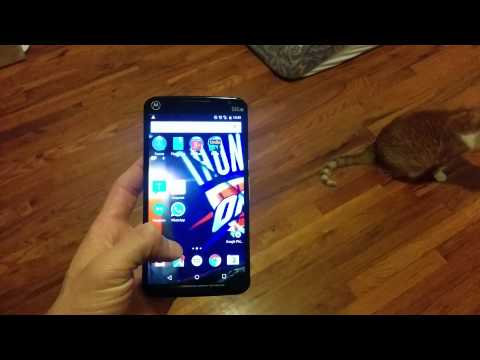 Best. Background. Ever.