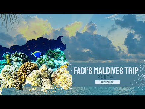 Fadi's Maldives Trip Part 02