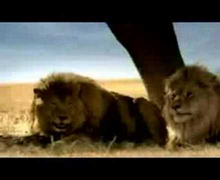 TacoBell Commercial Carne