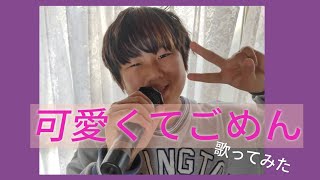 可愛くてごめん【歌ってみた】海ちゃん