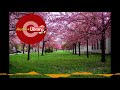 Audio Library No Copyright Youtube Library Mp3 Youtube Audio Library Copyright Free