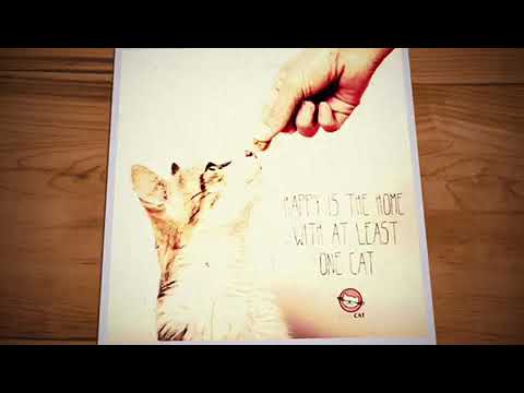 Ginger and grace - snow ❄️ flake mint 💯 views special