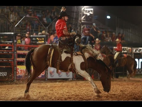 CUTIANO | DOMINGO | Ribeirão Rodeo Music 2018 (Todas montarias)