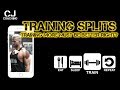 Training Twice Per Day, My Full Training Split and Nutrition Explained