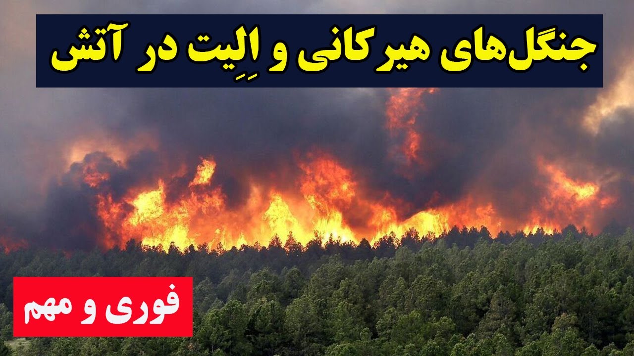 سوختن جنگل‌های هیرکانی و اِلِیت؛ ایران در آتش و سکوت حکومت