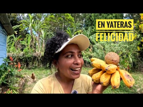 Yateras,Guantánamo: Historia y Alegría en el Corazón de la Naturaleza | Aventura en Cuba"
