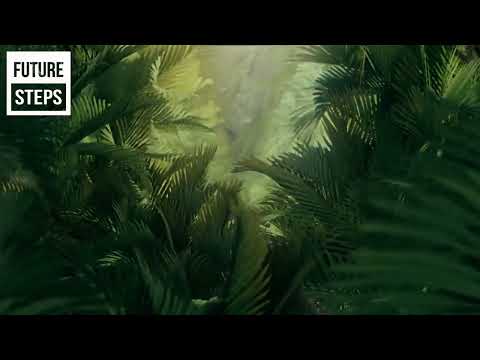 Future Steps Radio Episode #14 w. G.Brown #FutureBeats #DJMix #Afrobeats #bassmusic