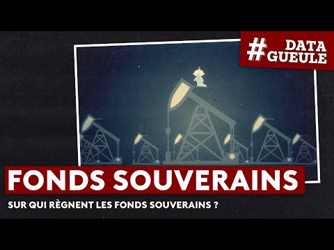 Sur qui règnent les fonds souverains ? - #DATAGUEULE 56