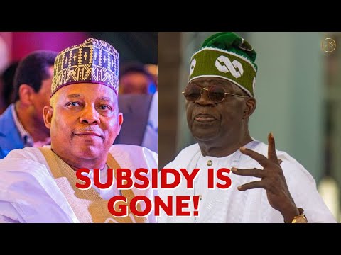 TOP 11 PROMISES TINUBU/SHETTIMA MADE TO NIGERIANS - CAN THEY FULFILL THEM IN 4 YEARS?