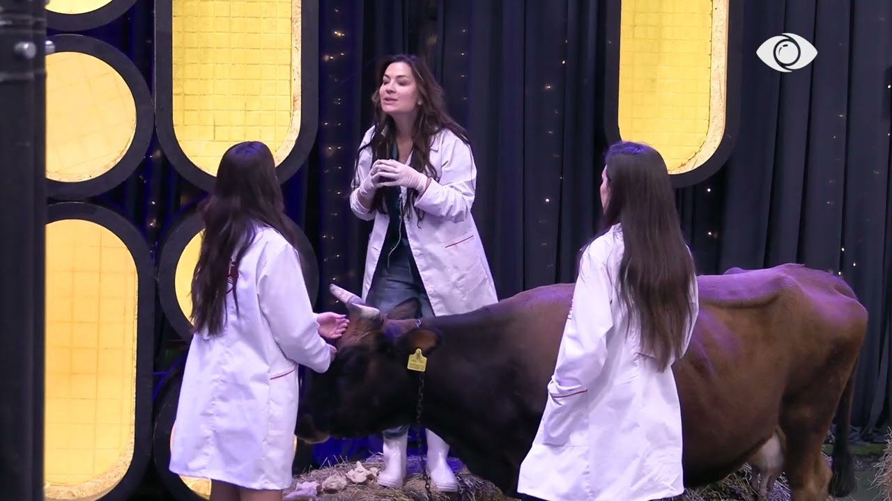 “Nuk po bëj lojën e Aldos”/ Rizarta- Rozanës: Ti i përdor gjërat