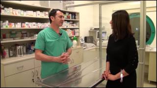Ataşehir Veteriner Kliniği