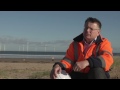 teesside wind farm - Image 3