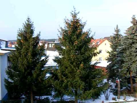 Frühling im Dezember