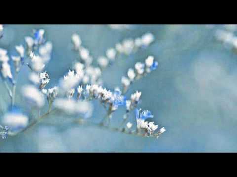 Antonio Vivaldi: Nulla in mundo pax sincera [motet] in E major (RV 630) - Part II