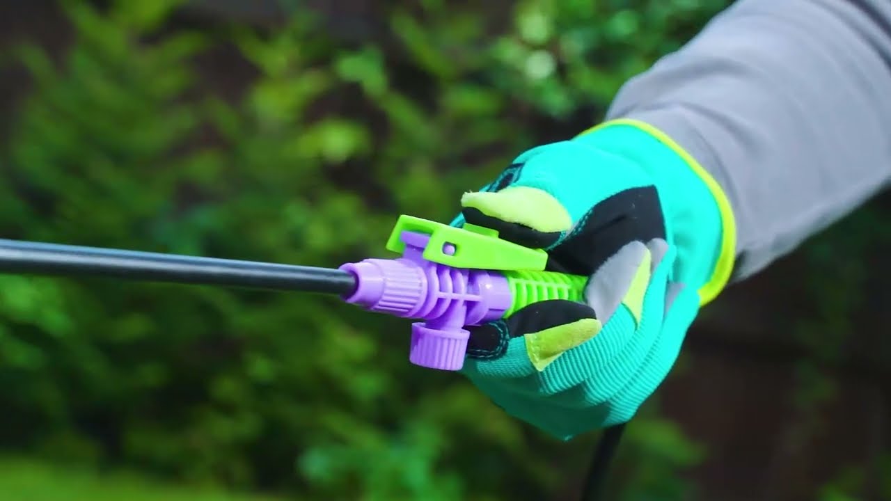 Видео-превью