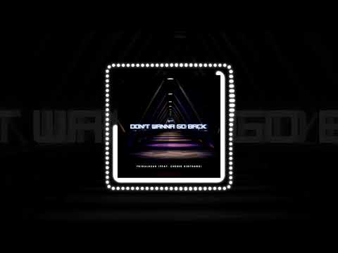 Tribalhead Feat. Chenie Sinthang - Don't Wanna Go Back (Official Audio) | #Popmusic #CloudPop