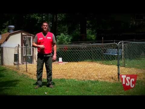 , title : 'How to Prevent and Treat Coccidiosis in Chickens | Chicken Care | Tractor Supply Co.'