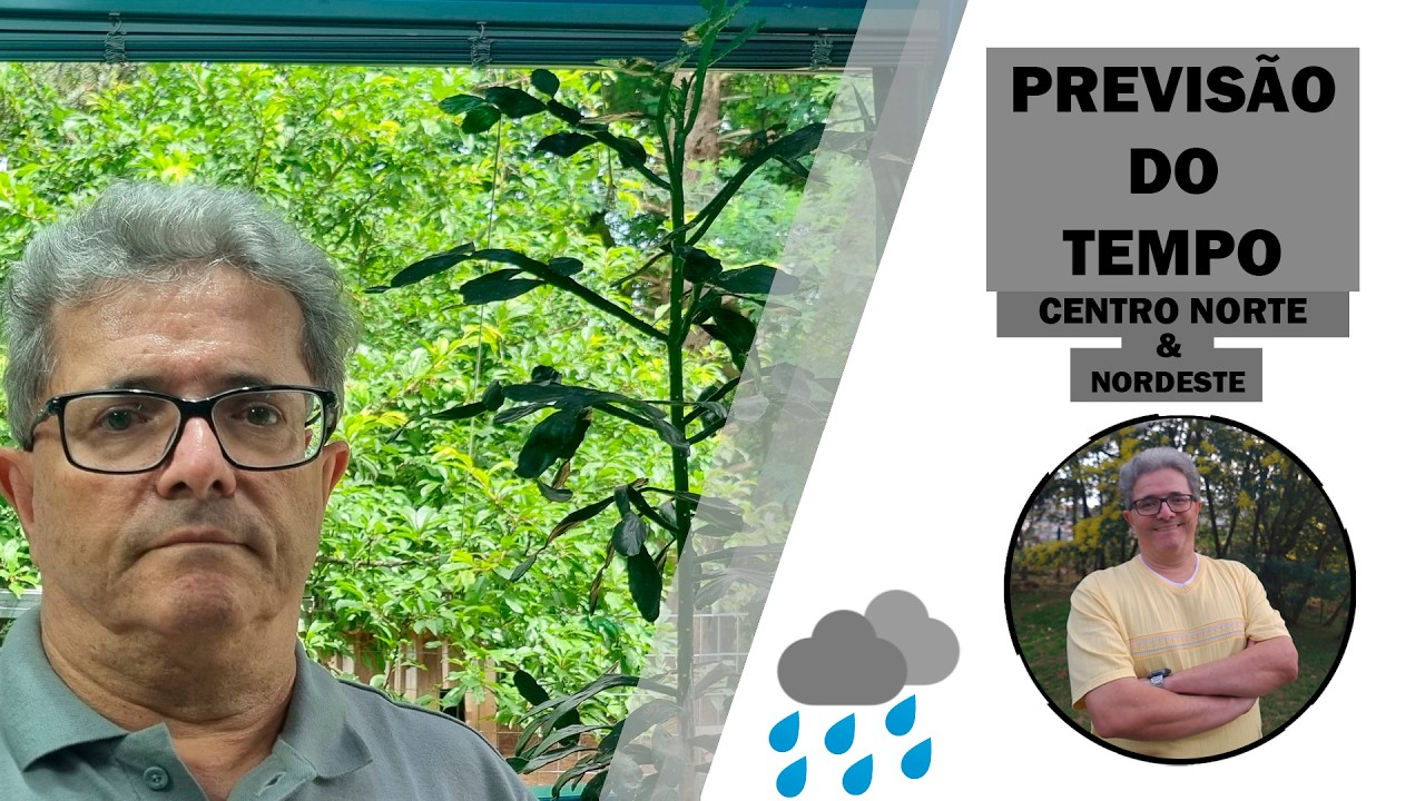 Centro Norte e Nordeste | Chuva começa a melhorar no Nordeste (07/11/2024)