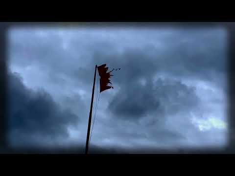 ShAPE - All Cats Are Grey (Cure cover)