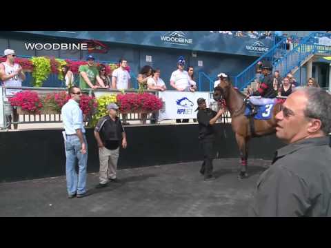 Woodbine, Tbred, July 16, 2016 Race 6