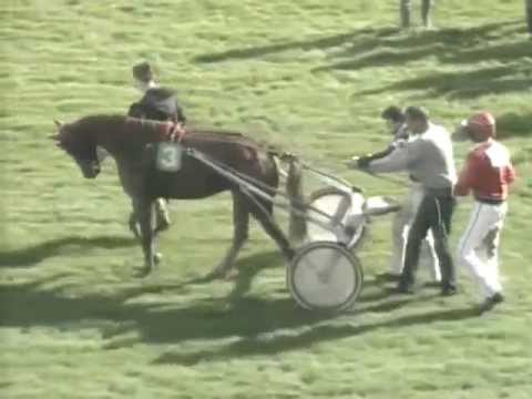 Capricciosa J & Rick Ebbinge winnen Duindigt' s Driejarige Merries Stakes 7 okt 2012