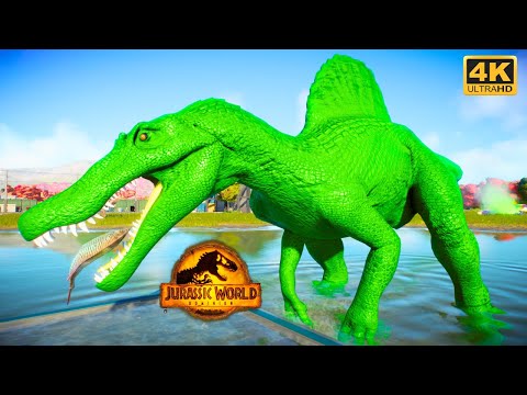 Green Spinosaurus vs Superman Indominus rex vs Spiderman T-Rex fights - Jurassic world evolution 2