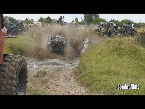 8th FESTRILHA: THIS LITTLE THING SEEMS LIKE SOMETHING ELSE