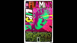 The Flaming Lips - Live at the Ventura Theater 1995