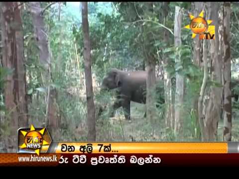Hiru News 9.30 PM August 09, 2014 