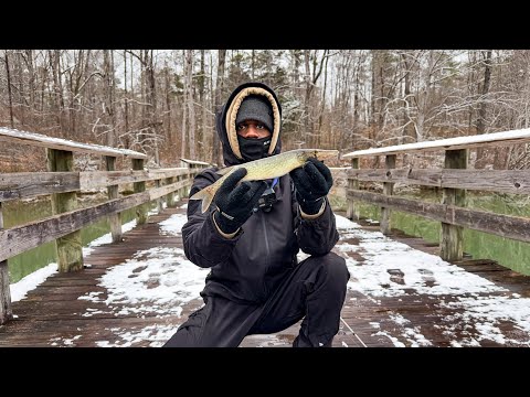 Solo Winter Camping In -19 Degrees | Pike Catch & Cook