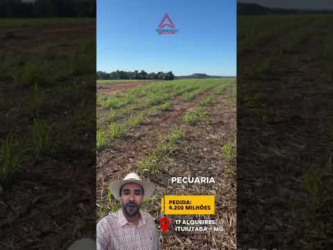 Oportunidade próximo a cidade de ituiutaba Mg topografia plana cana e pecuária