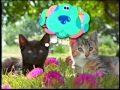 Nick Jr Menu Cats 2 ID Coming Up Next Bumper 1999 2000