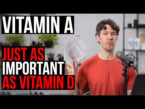 Vitamin A: as Important as Vitamin D, But Less Popular (facts to know)
