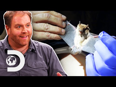 Hunting The Van Meter Monster In Iowa | Expedition X