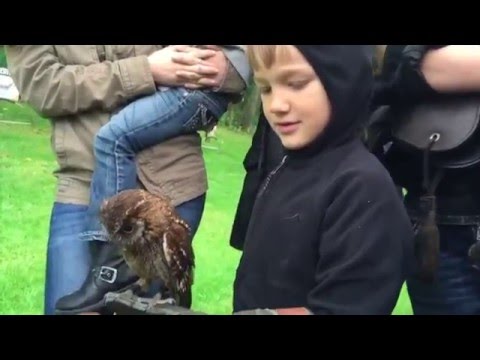 Munster Falconry