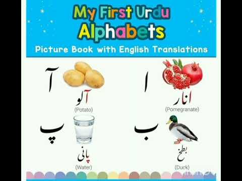 Persian Words for Everyday Life - Basic Vocabulary