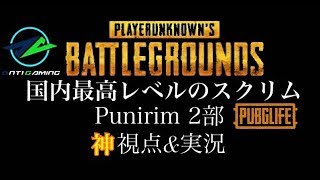 【スクリム　Punirim2部】神視点&実況　5分ディレイあり