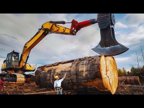 The strongest and fastest woodcutting forestry machines are truly astonishing