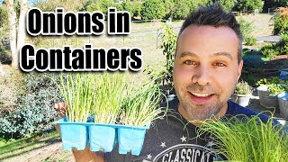 How to Plant Onions in Containers