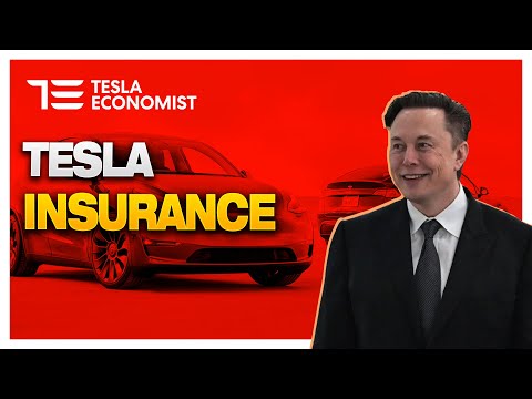 Tesla Insurance, Purpose, Profit, Experience, Safety