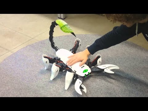 10 FORTSCHRITTLICHE ROBOTER TIERE, DIE DU SEHEN MUSST