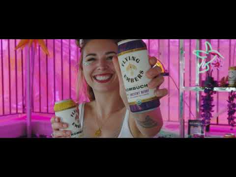 LOCKN' 2019 | Friday Recap | 8/23/19