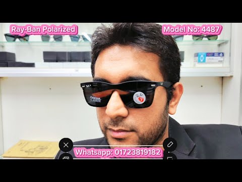 RAY-BAN 4487 Polarized Sunglass (OHIS GALLERY)