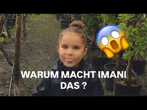 LOUISA IST SAUER AUF IMANI 😱 | Nader Louisa