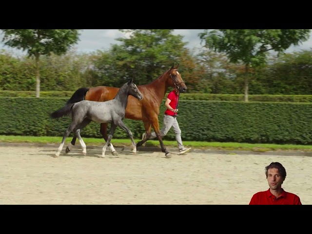 Cointreau van't Pardassenhof