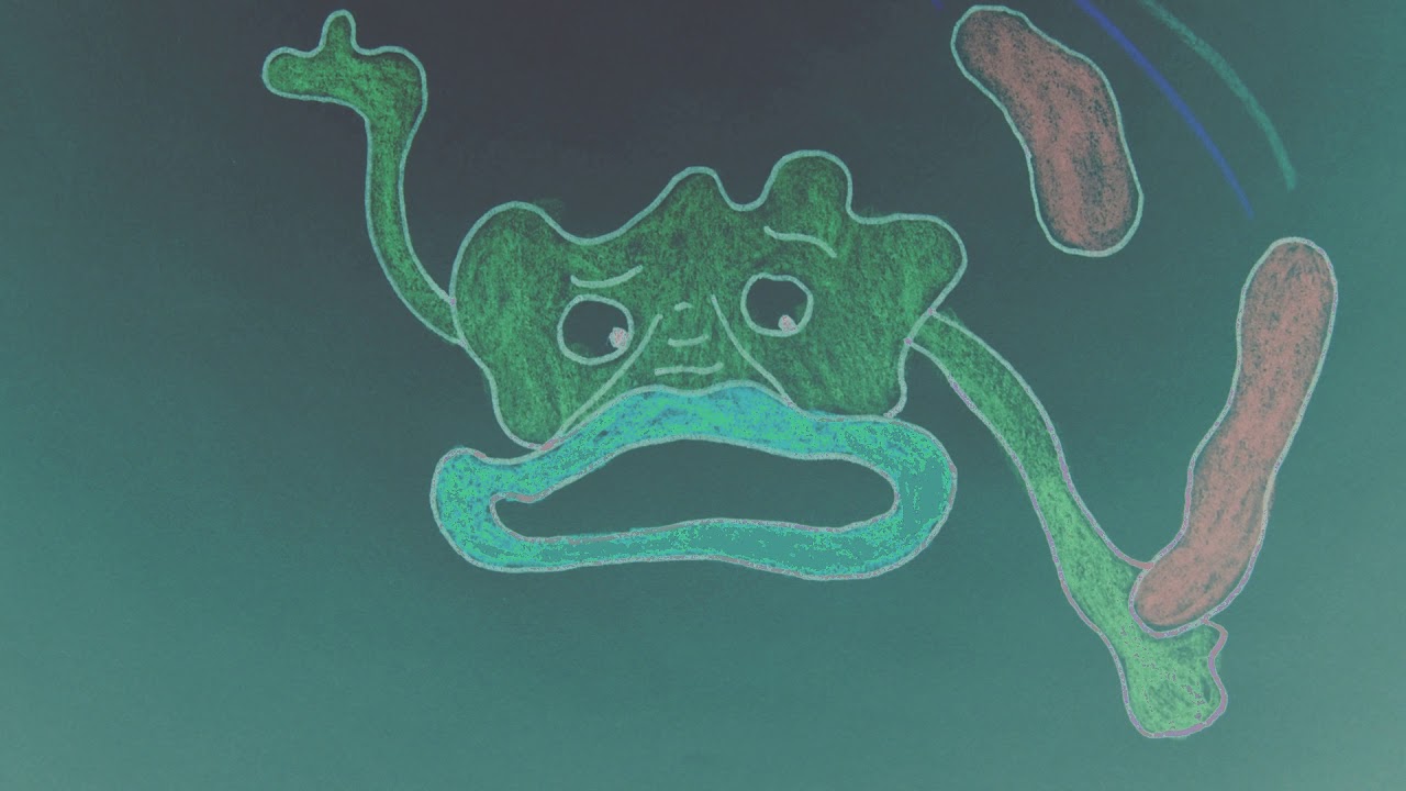 Promotional video thumbnail 3 for Trumpet Marmalade