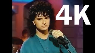 Ricardo Arjona - Animal Nocturno (Official 4K Video)