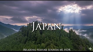 Mitake Mountain Tokyo 4K HDR | Mist & Sunshine, レンゲショウマ, Hatonosu Valley | Relaxing Nature Sounds