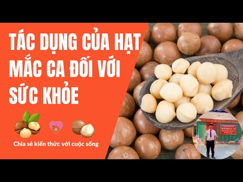 Tác dụng của Hạt Mắc Ca